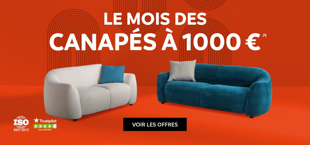 Le mois des canapés à 1OOO€